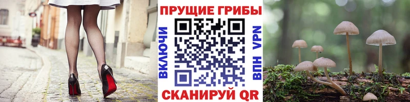 Галлюциногенные грибы MAGIC MUSHROOMS  Алзамай 